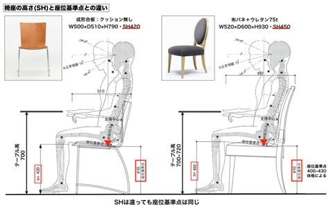 椅子標準尺寸|座りやすい椅子の条件とは？座位基準点や差尺を画像で解説【椅。